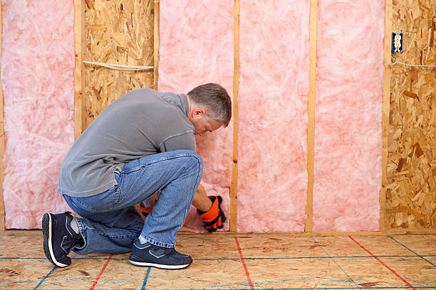 Best Insulation Maintenance and Repair in Mishicot, WI
